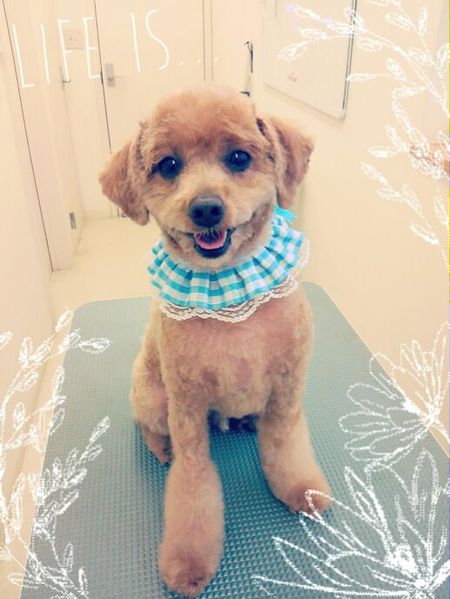 ７月８日トリミング写真ぶり