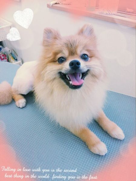 ７月９日トリミング写真ぶん太１