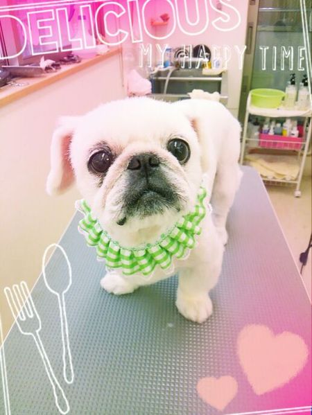 ７月１１日トリミング写真武蔵