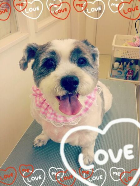 ７月１３日トリミング写真めぐ