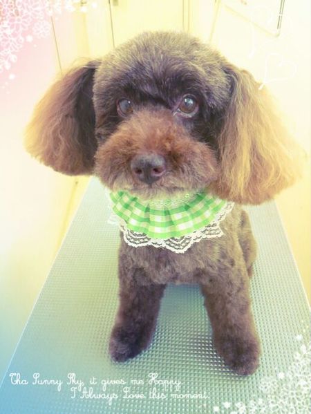 ７月１５日トリミング写真ムサシ