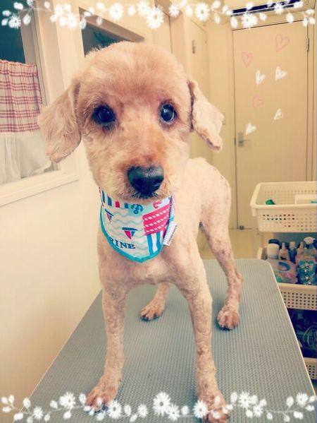 ７月１８日トリミング写真にこ