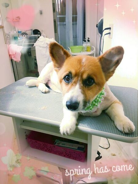 ７月１８日トリミング写真くう