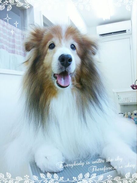 ７月１８日トリミング写真るい