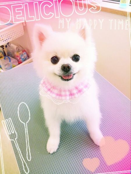 ７月１９日トリミング写真レナ