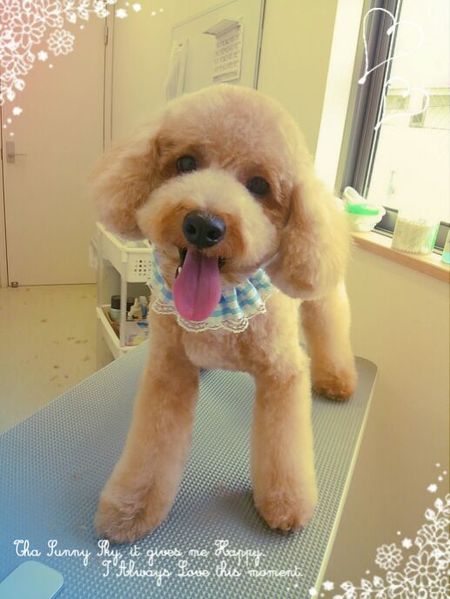 ７月２２日トリミング写真茶太郎