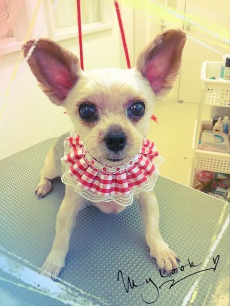 ７月２２日トリミング写真青空