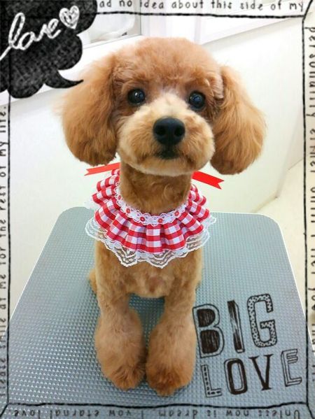 ７月２３日トリミング写真nap