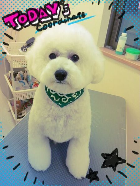 ７月２６日トリミング写真ピース