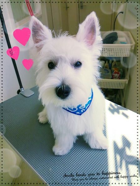 ７月２９日トリミング写真空