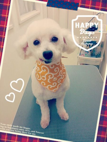 ７月３０日トリミング写真ジャック