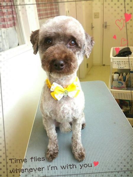 ８月１日トリミング写真小豆