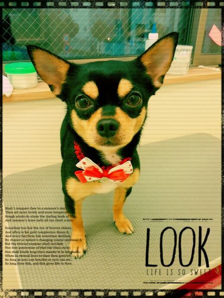 ８月２日トリミング写真マル