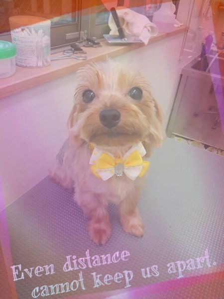 ８月３日トリミング写真ピース