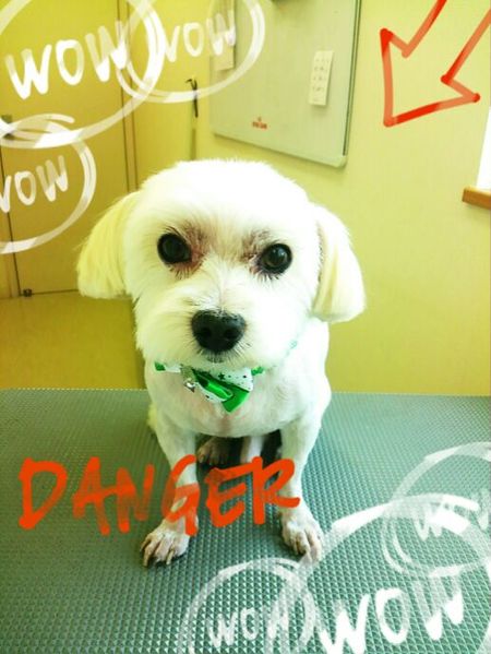 ８月５日トリミング写真カンタ