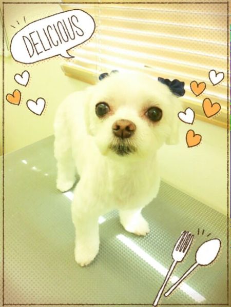 ８月６日トリミング写真ソラ