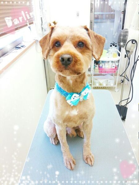 ８月９日トリミング写真ムー