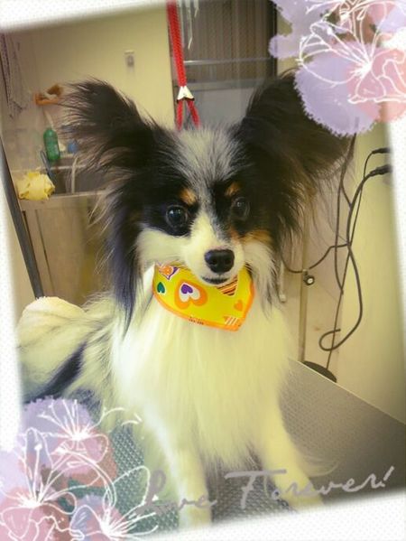 ８月９日トリミング写真リック