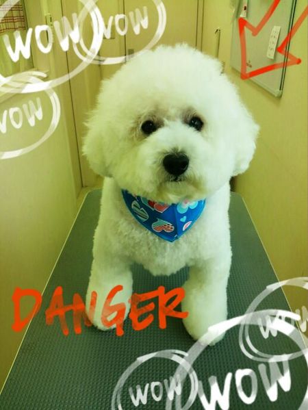 ８月１２日トリミング写真ピース