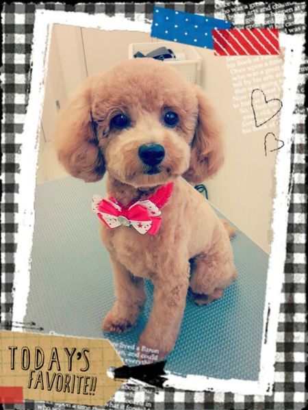 ８月１３日トリミング写真nap