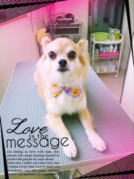 ８月１５日トリミング写真しょうた