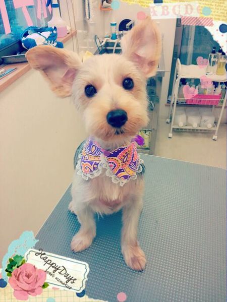 ８月２４日トリミング写真むぎ