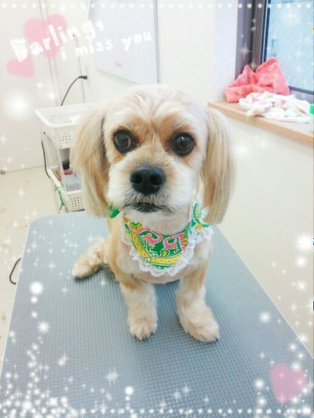 ８月２７日トリミング写真れおん