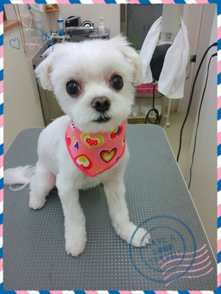 ８月３０日トリミング写真チーズ