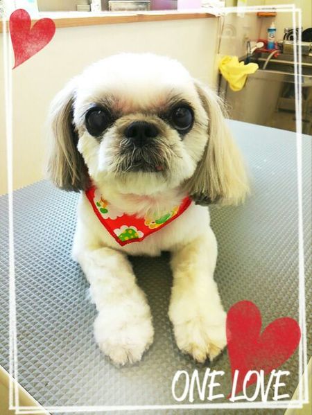 ９付２日トリミング写真ひめ