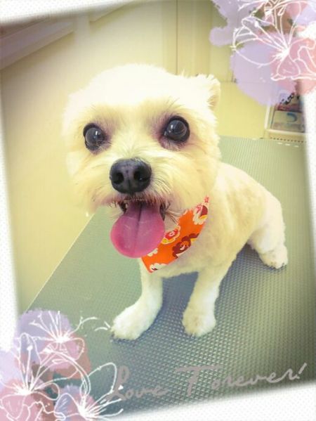 ９月２日トリミング写真たい