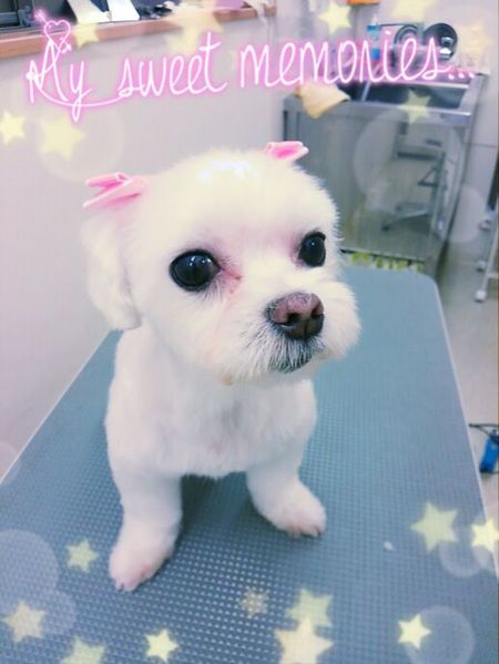 ９月２日トリミング写真そら