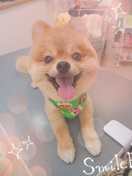 ９月３日トリミング写真ぶん太