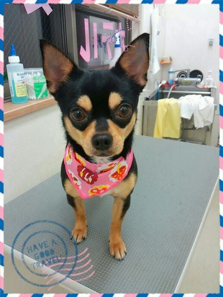 ９月６日トリミング写真マル