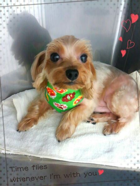 ９月７日トリミング写真ピース