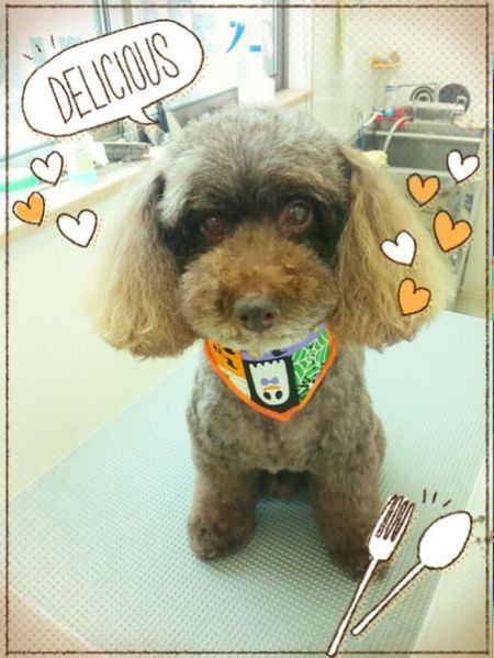 ９月１２日トリミング写真ムサシ