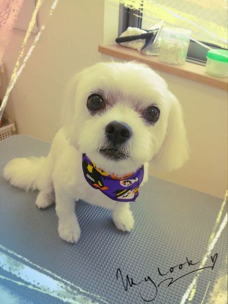 ９月１２日トリミング写真ポテト