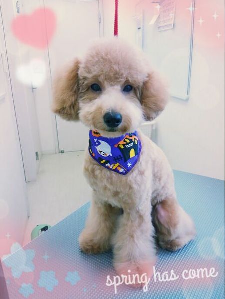 ９月１４日トリミング写真けん