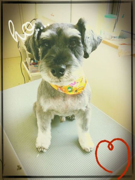 ９月１４日トリミング写真