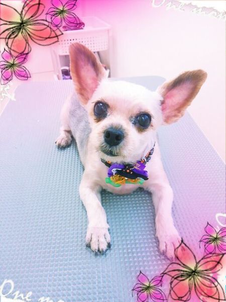 ９月１６日トリミング写真青空