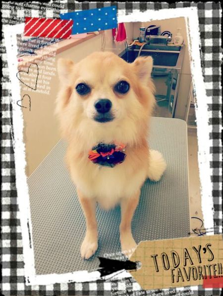 ９月１９日トリミング写真しょうた