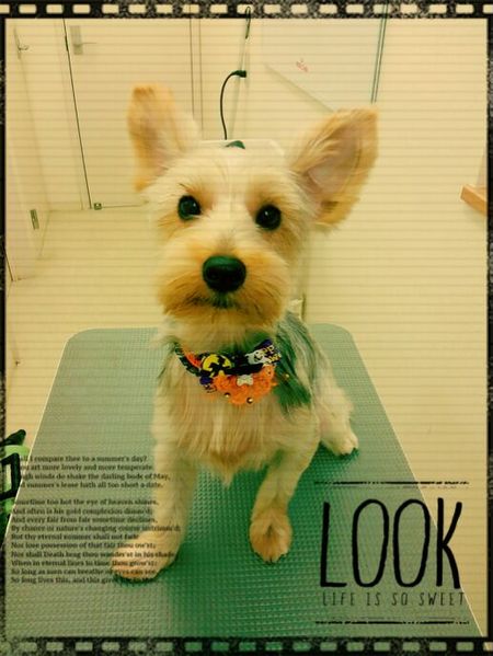 ９月２１日トリミング写真むぎ