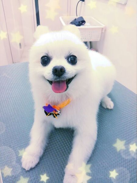 ９月２１日トリミング写真レナ