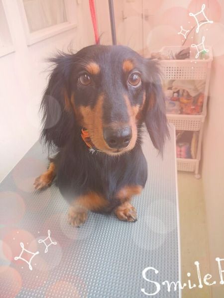 ９月２４日トリミング写真もえ