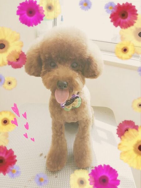 ９月２６日トリミング写真モコ