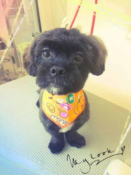 ９月３０日トリミング写真ぅろみ