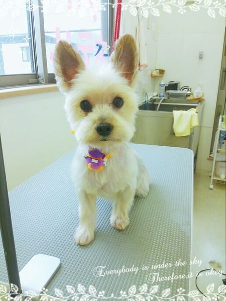 １０月１日トリミング写真ココア