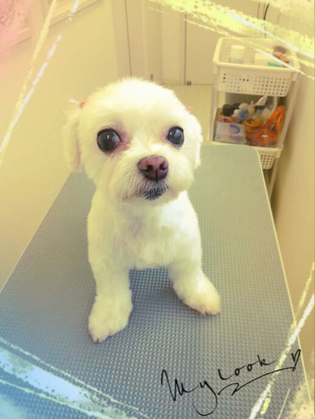 １０月８日トリミング写真ソラ