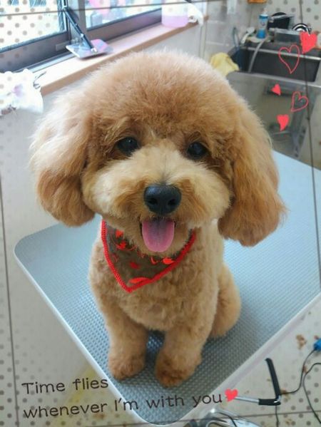 １０月１１日トリミング写真nap