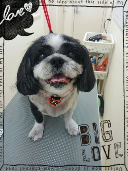 １０月１２日トリミング写真リュウ