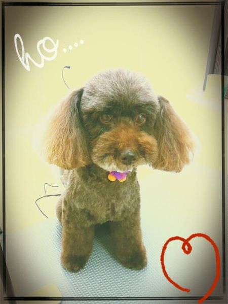 １０月１２日トリミング写真ムサシ